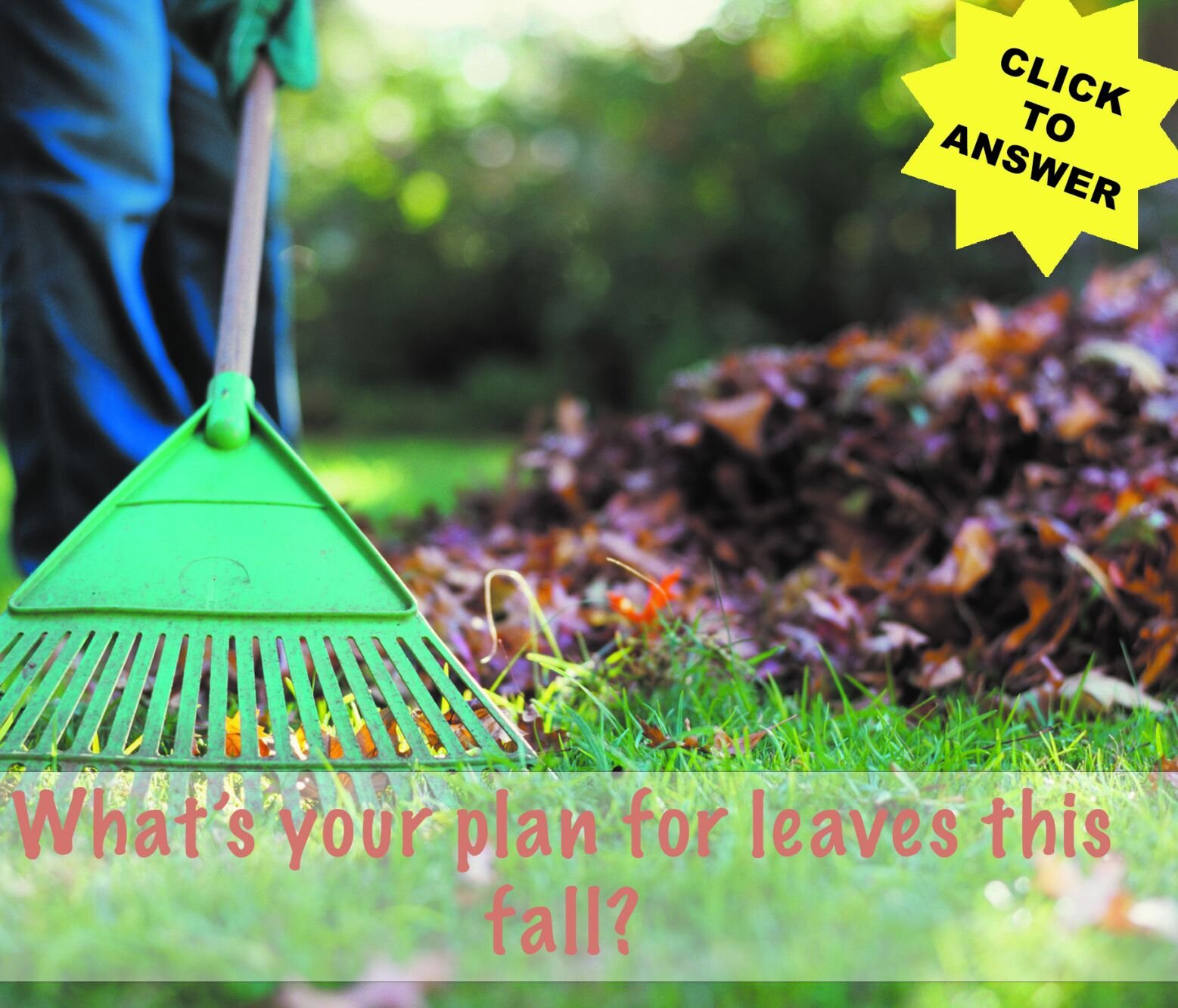 Question of the Week